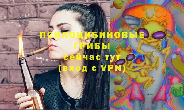стаф Сатка