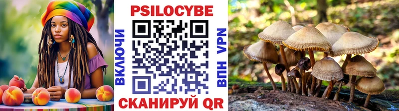 где можно купить наркотик  Инза  Псилоцибиновые грибы MAGIC MUSHROOMS 